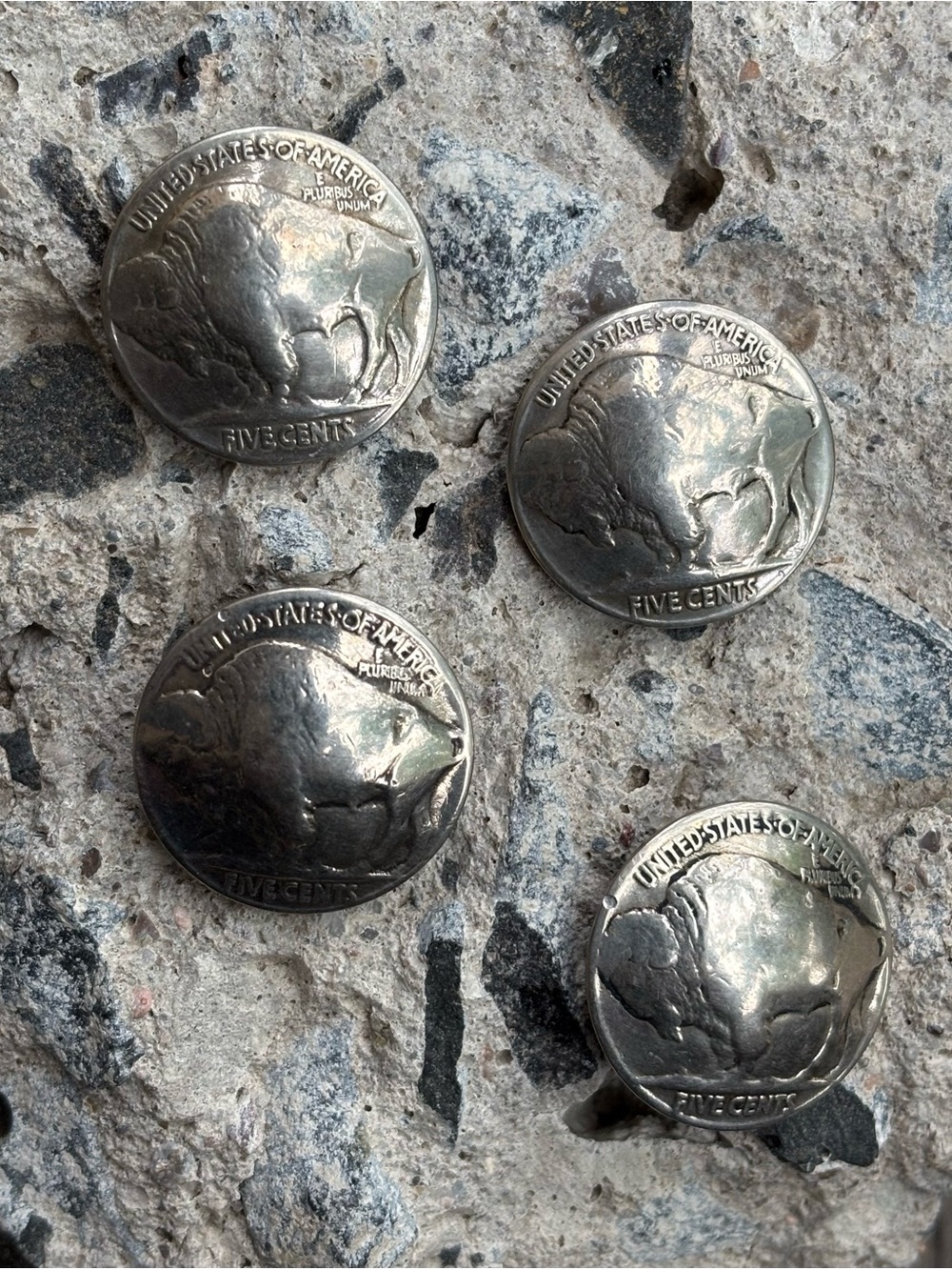 Vintage Buffalo Nickel Conches!